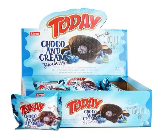 today-double-choco-and-cream-blueberry-50-gr-24-pieces-1-box-today-elvan-3729-28-B